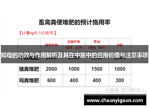 知母的功效与作用解析及其在中医中的应用价值与注意事项